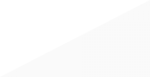 bg_img004